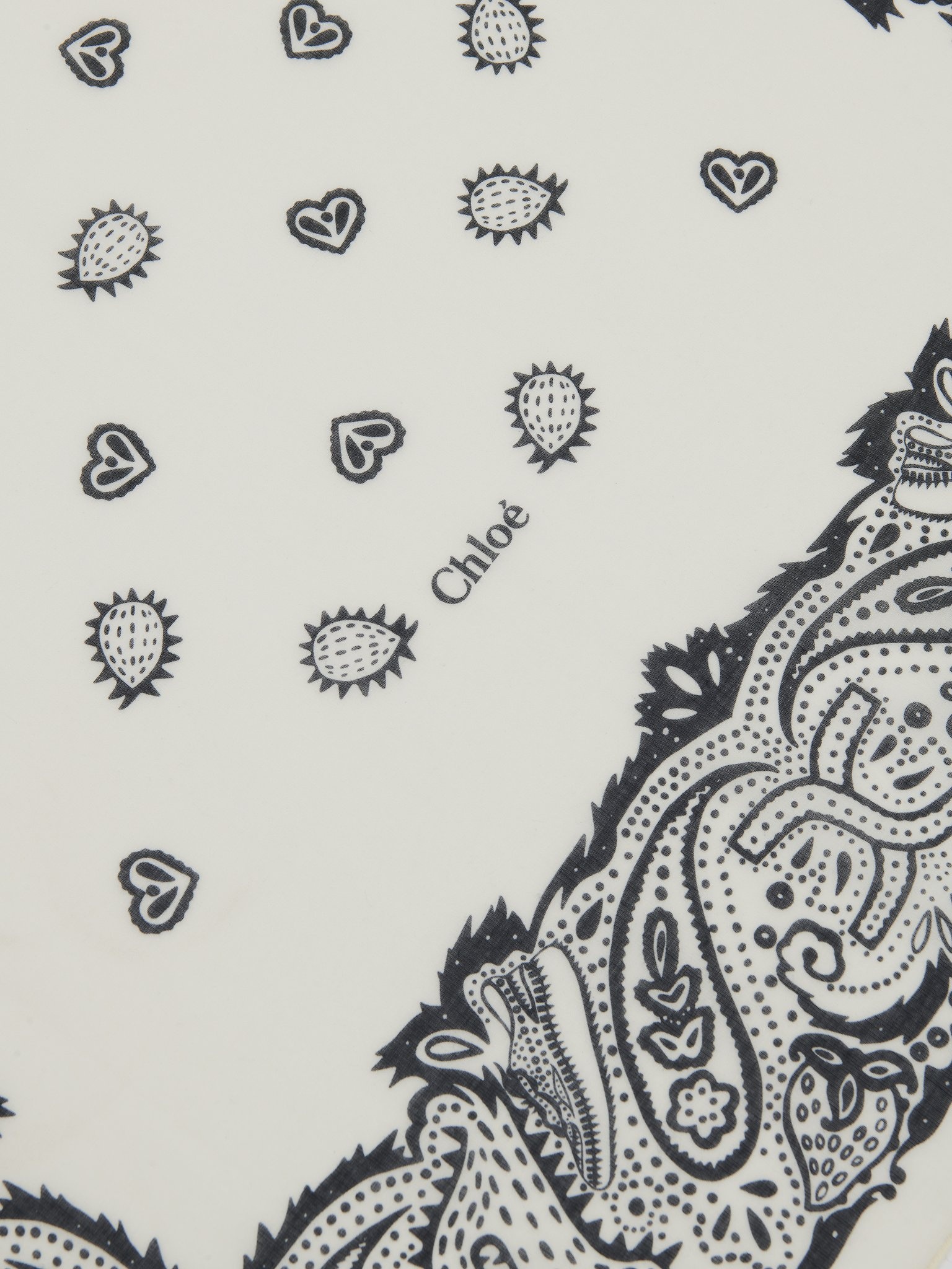 BANDANA PRINT SCARF - 3
