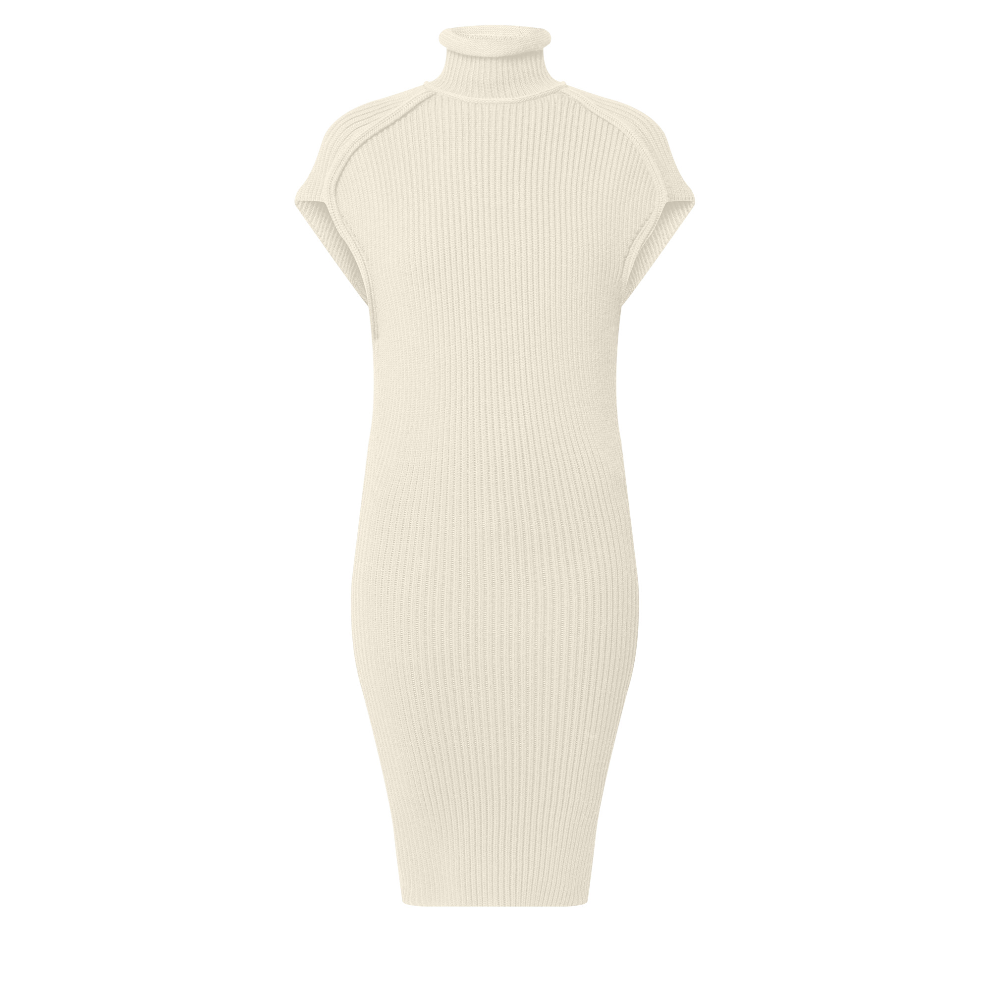 Roll Neck Ribbed Knit Dress - 1