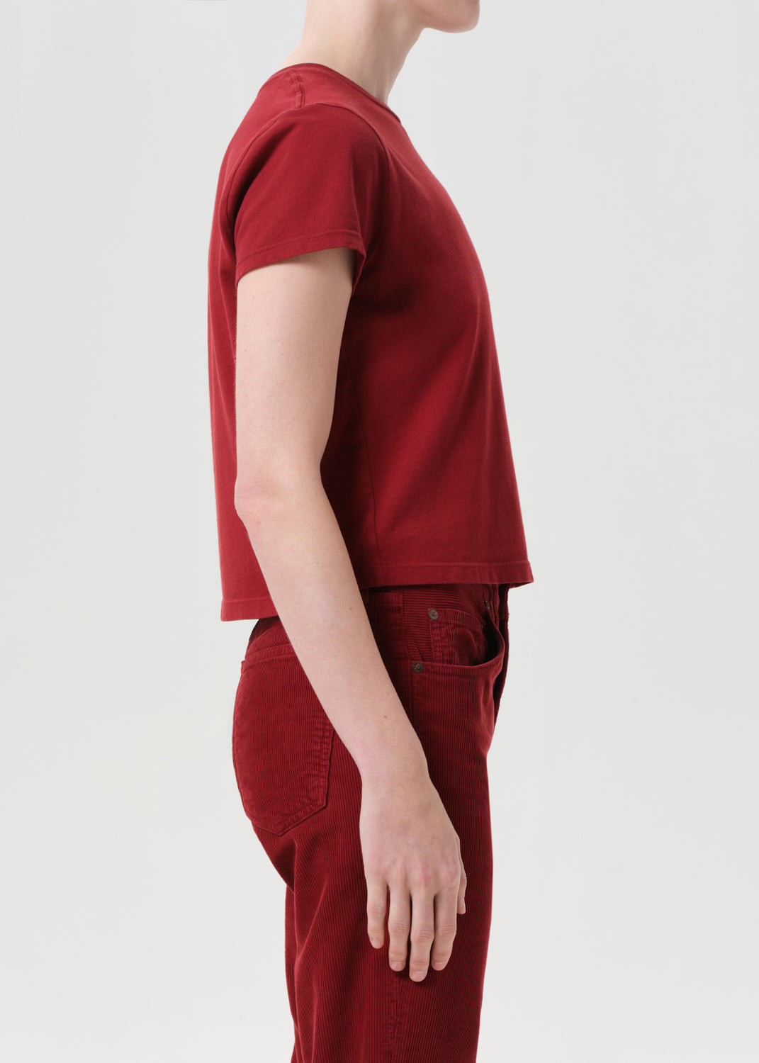 ADINE SHRUNKEN TEE IN BRICK - 4