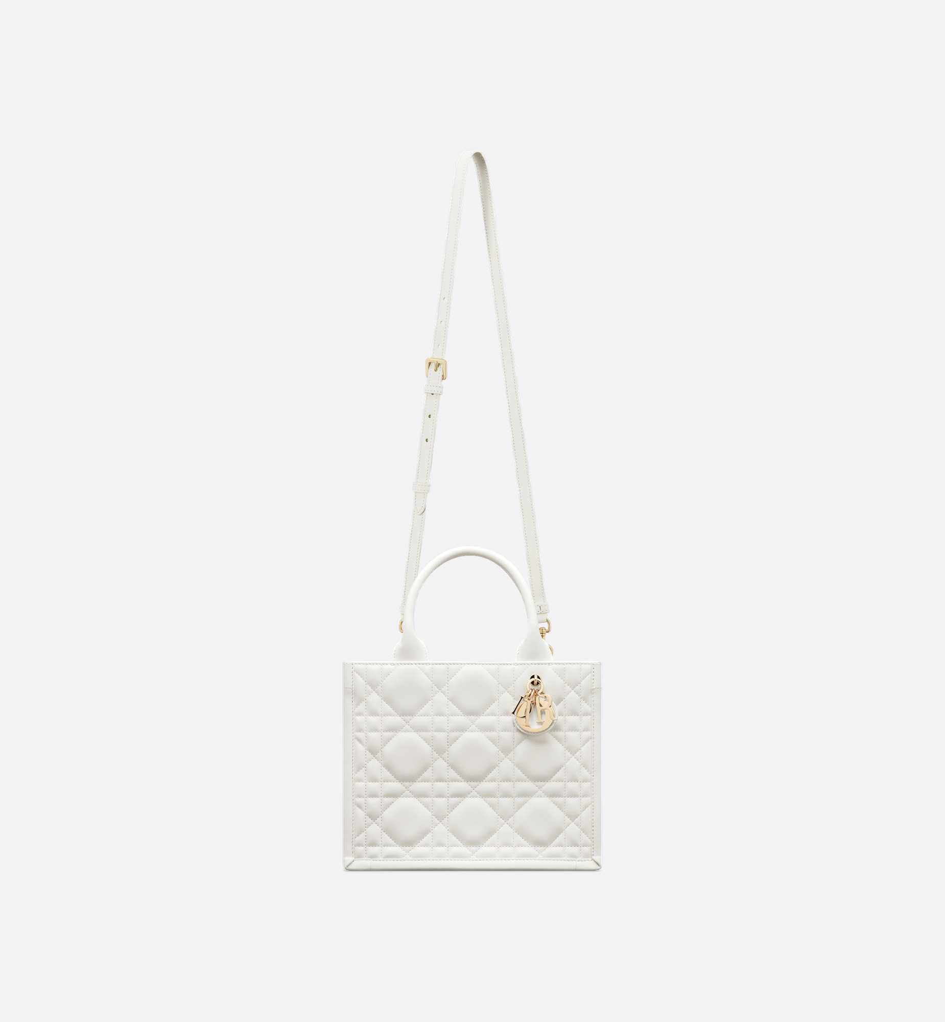 Small Dior Book Tote - 6