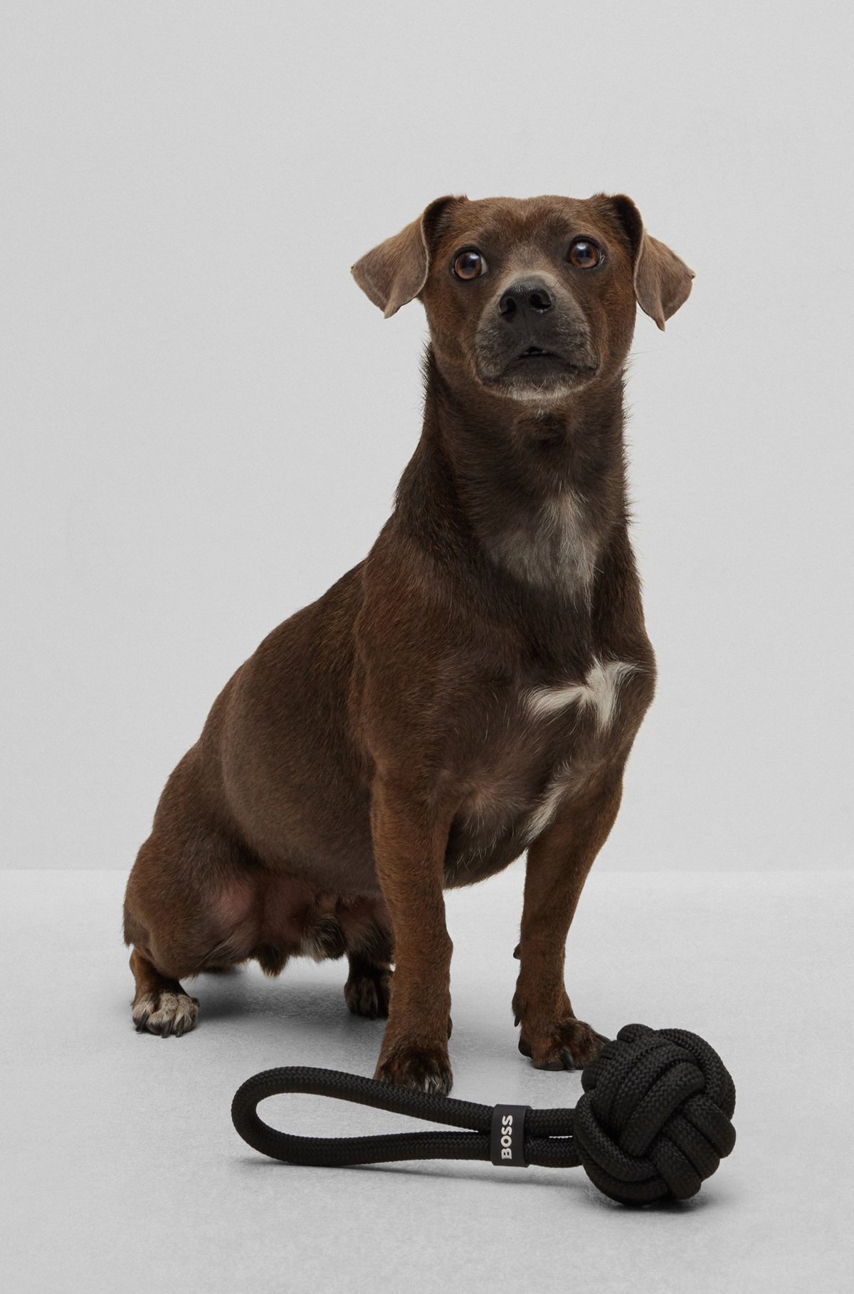 DOG ROPE BALL TOY - 2