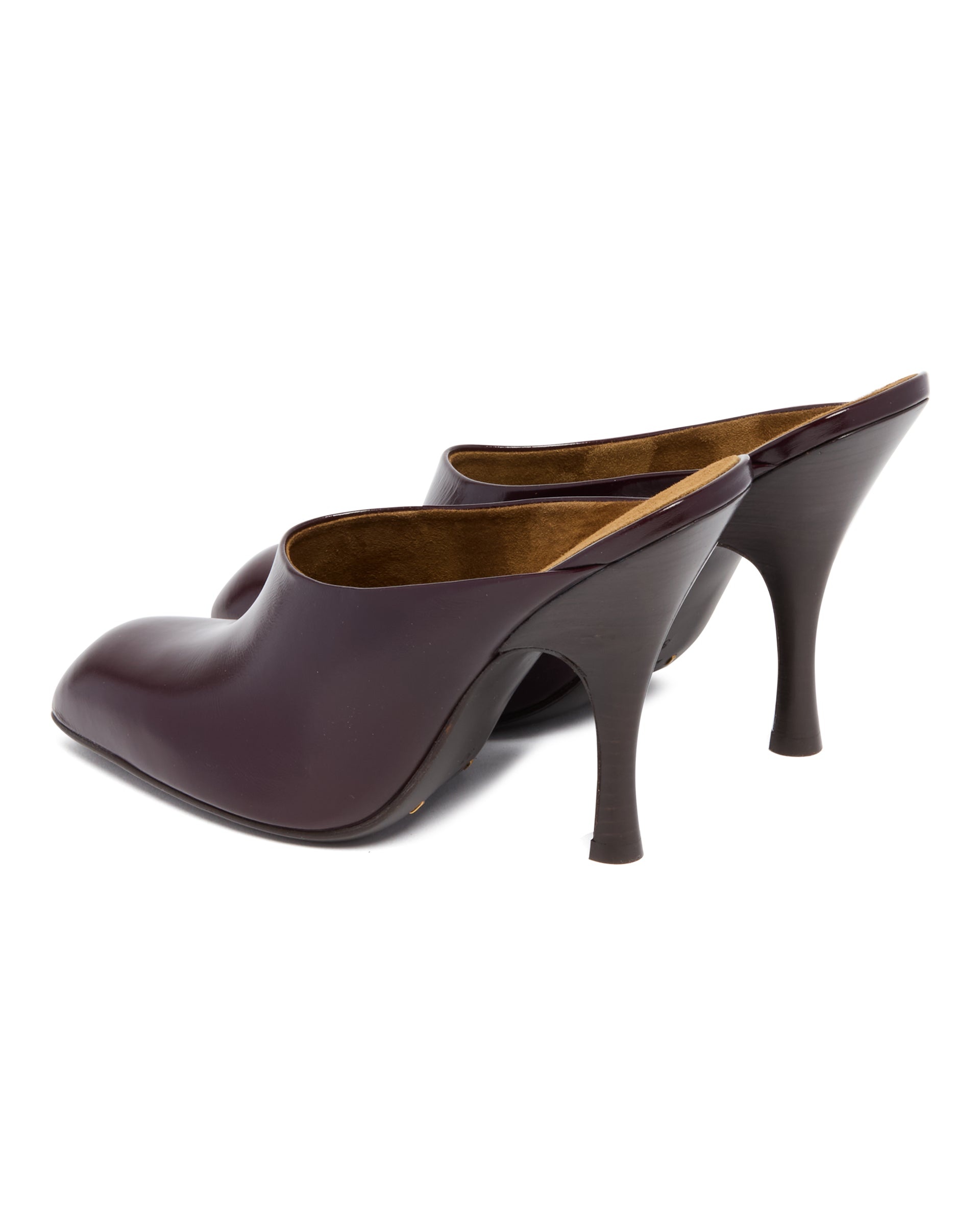 Brown Colt Mules - 5