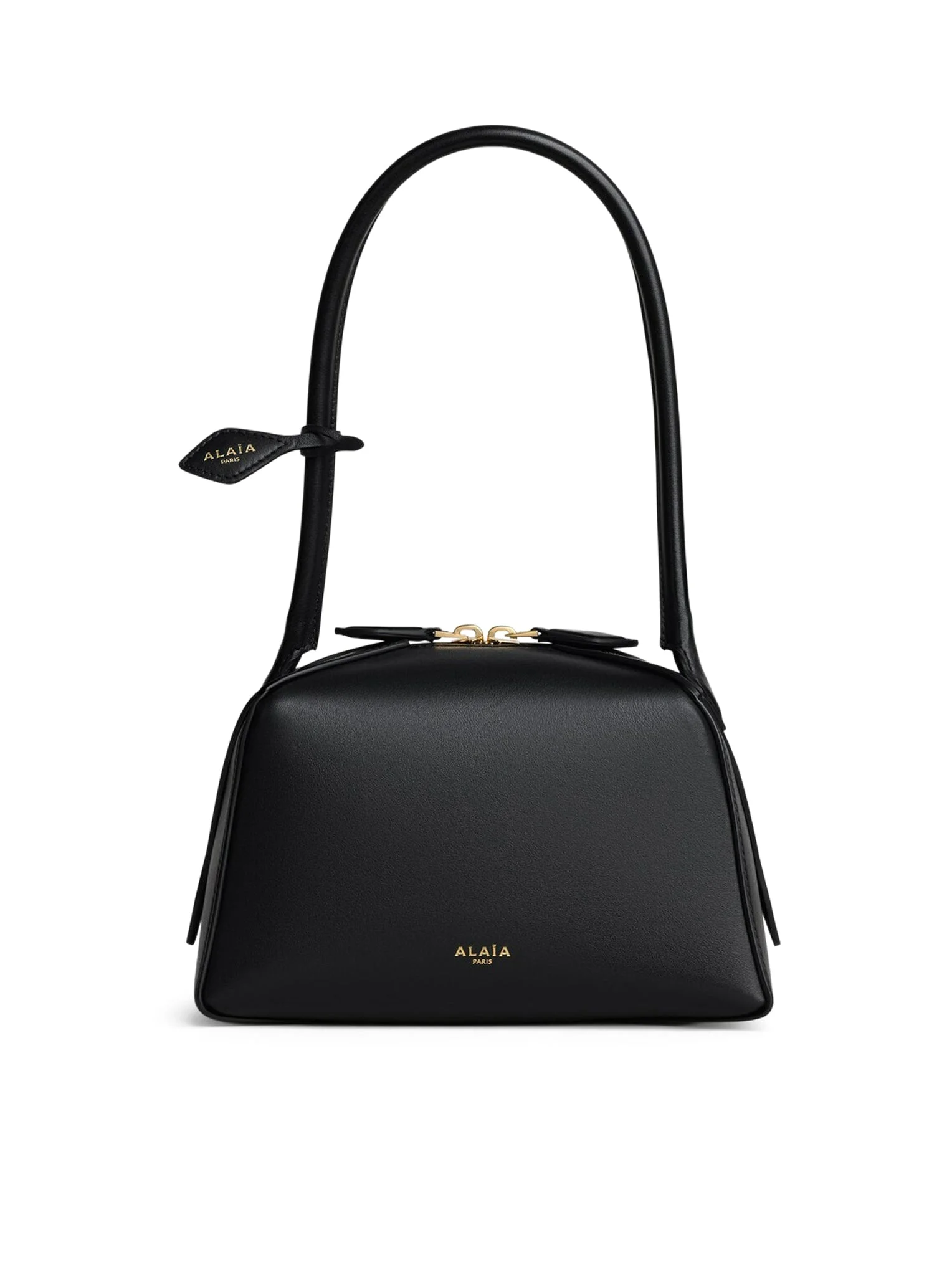 LE TECKEL SMALL CALFSKIN BAG - 1