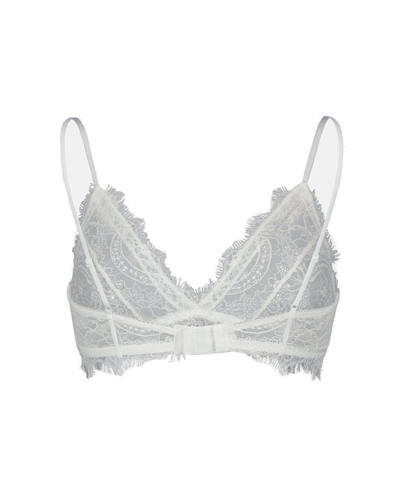 Triangle Cup Sheer Lace Bra - 2