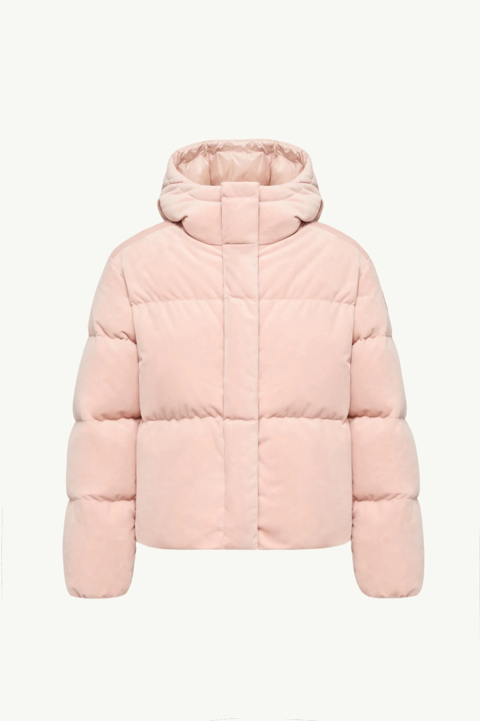 Enigme Hooded Chenille Short Down Jacket - 1