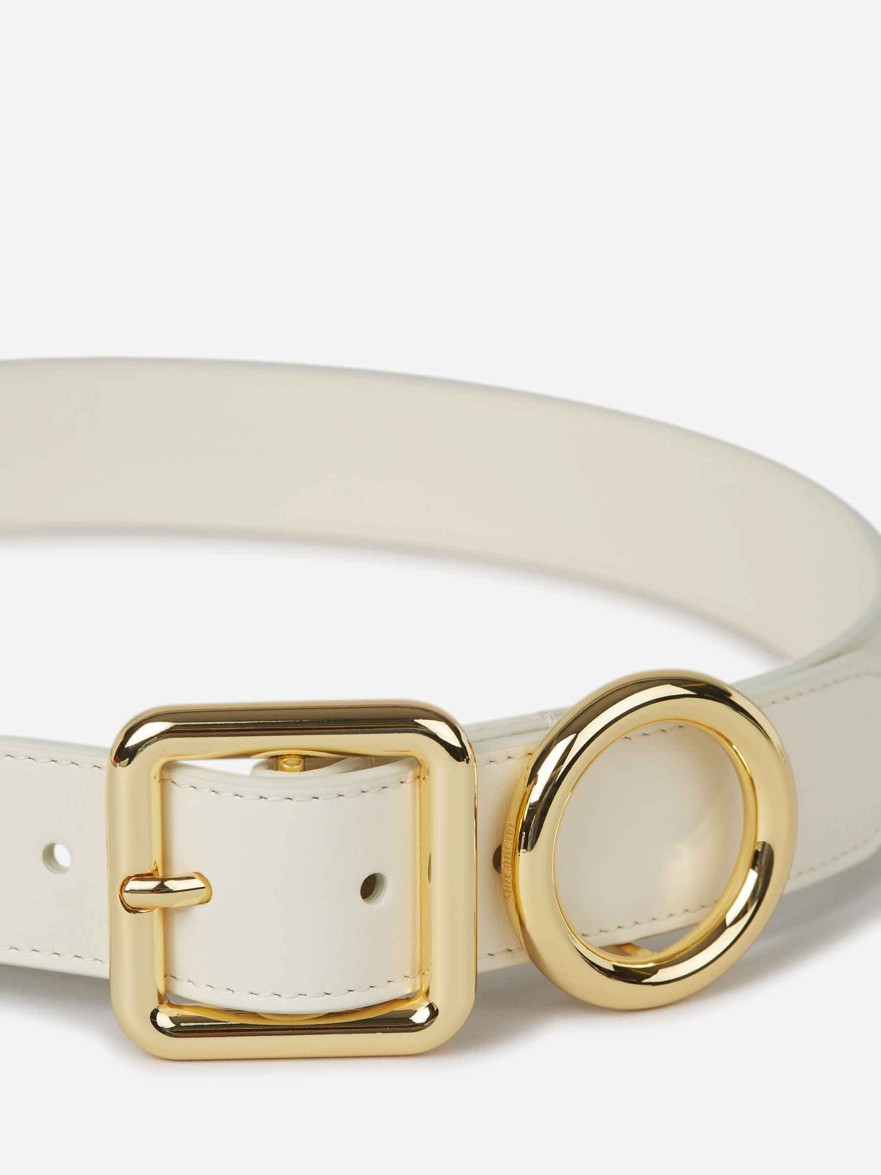 SQUARE CIRCLE BELT - 3