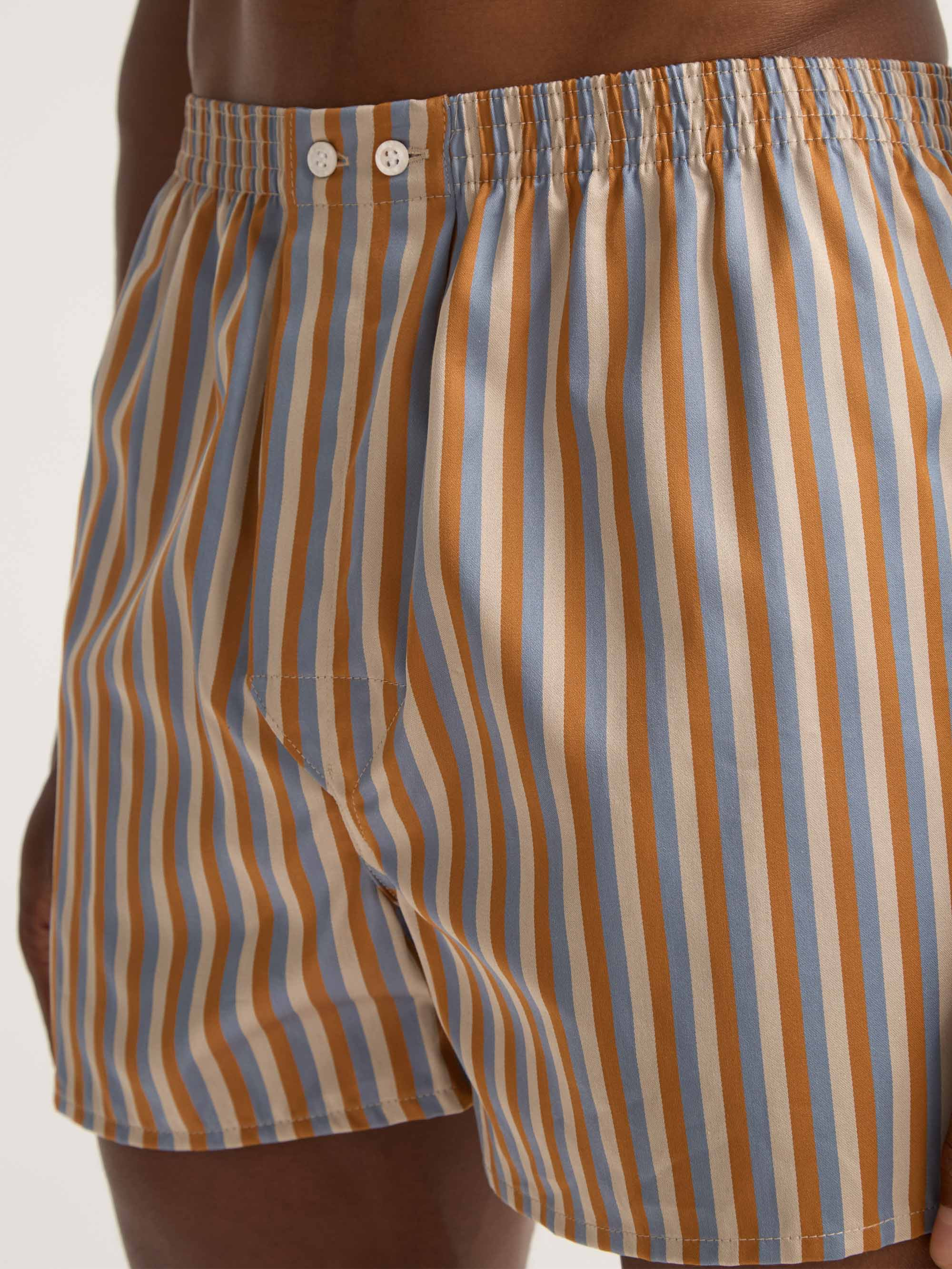 Men's Classic Fit Boxers Wellington Cotton Brown and Blue Multicolor Stripe - 5