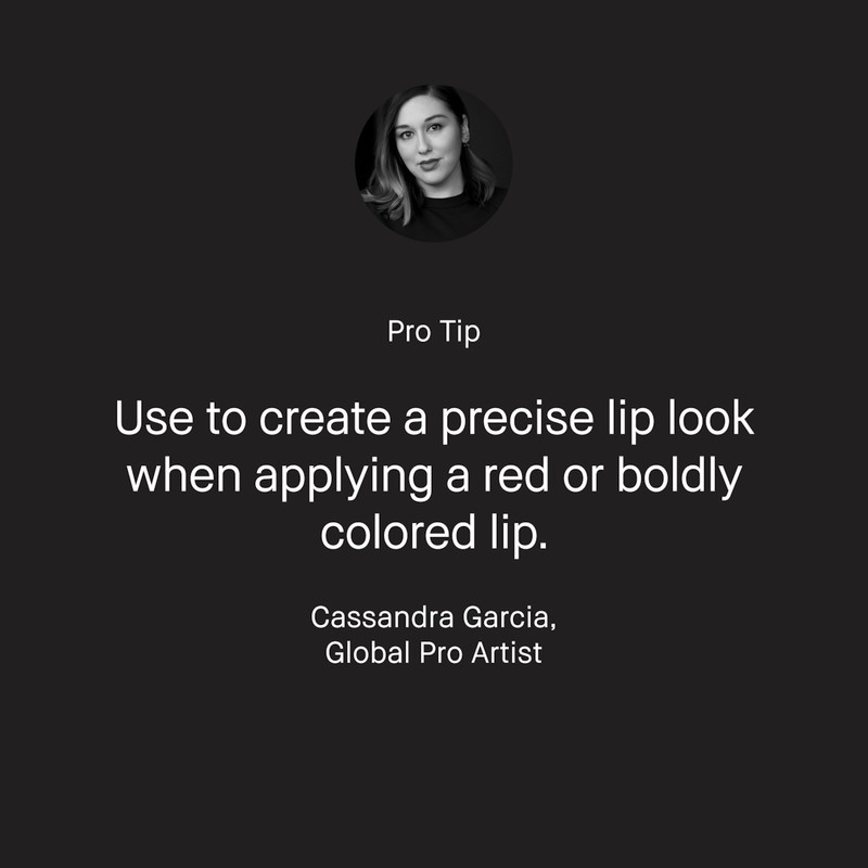 Lip Brush 8