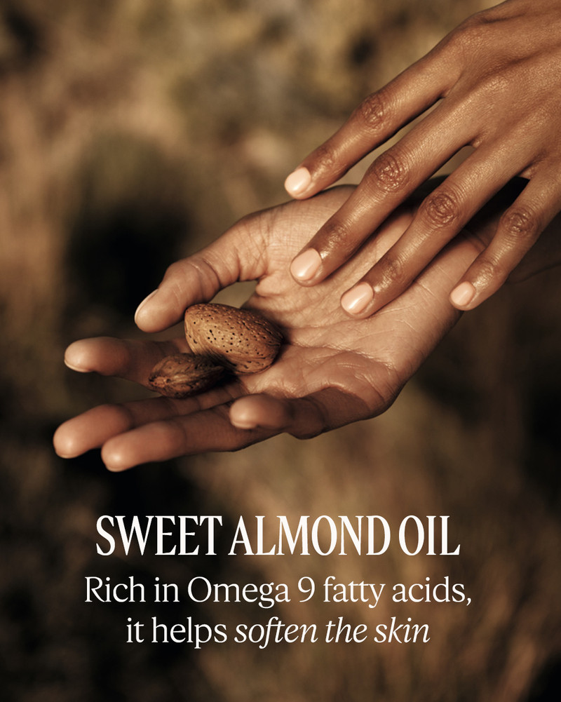 Almond Collection 3