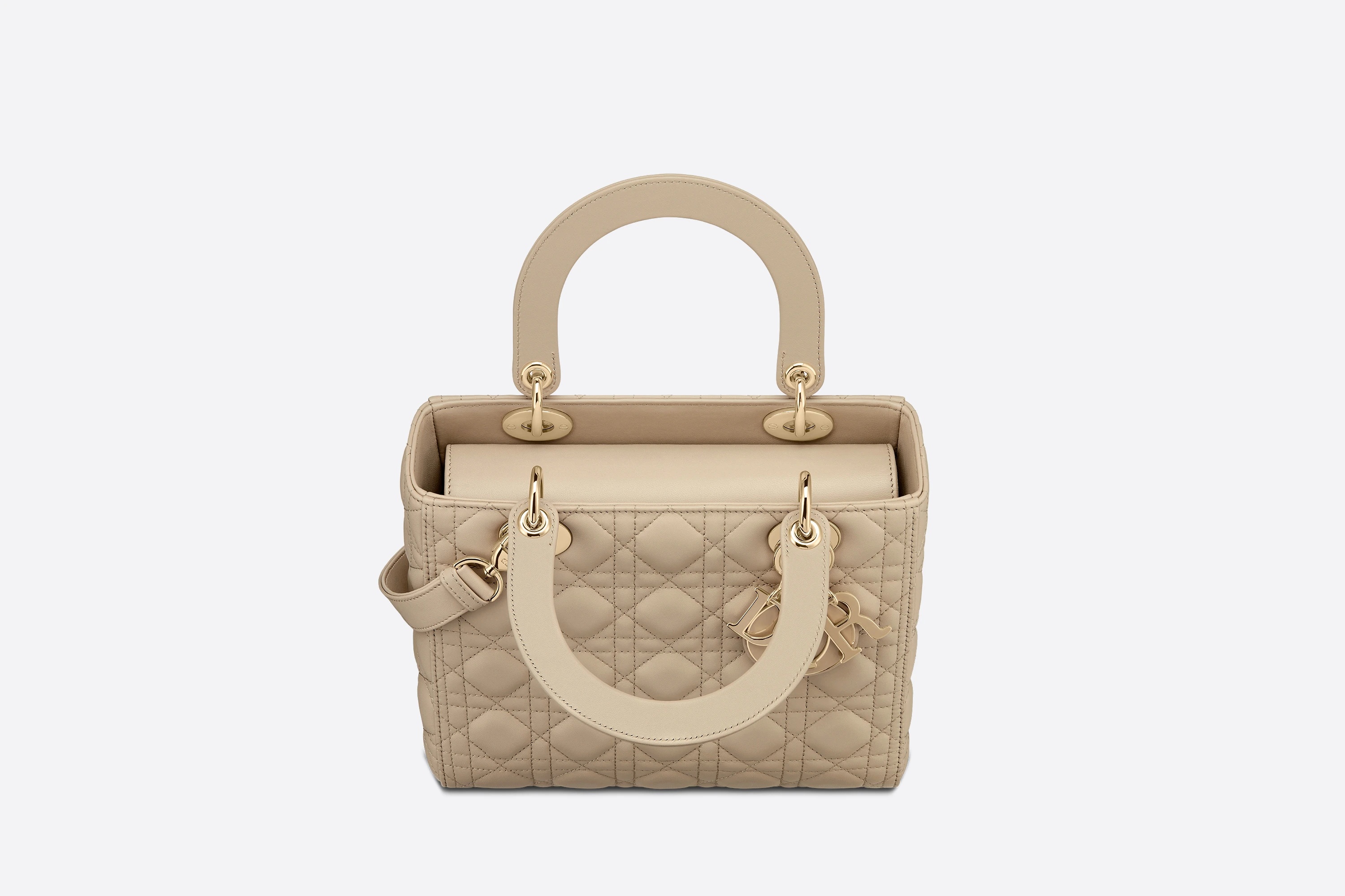 Medium Lady Dior Bag - 3