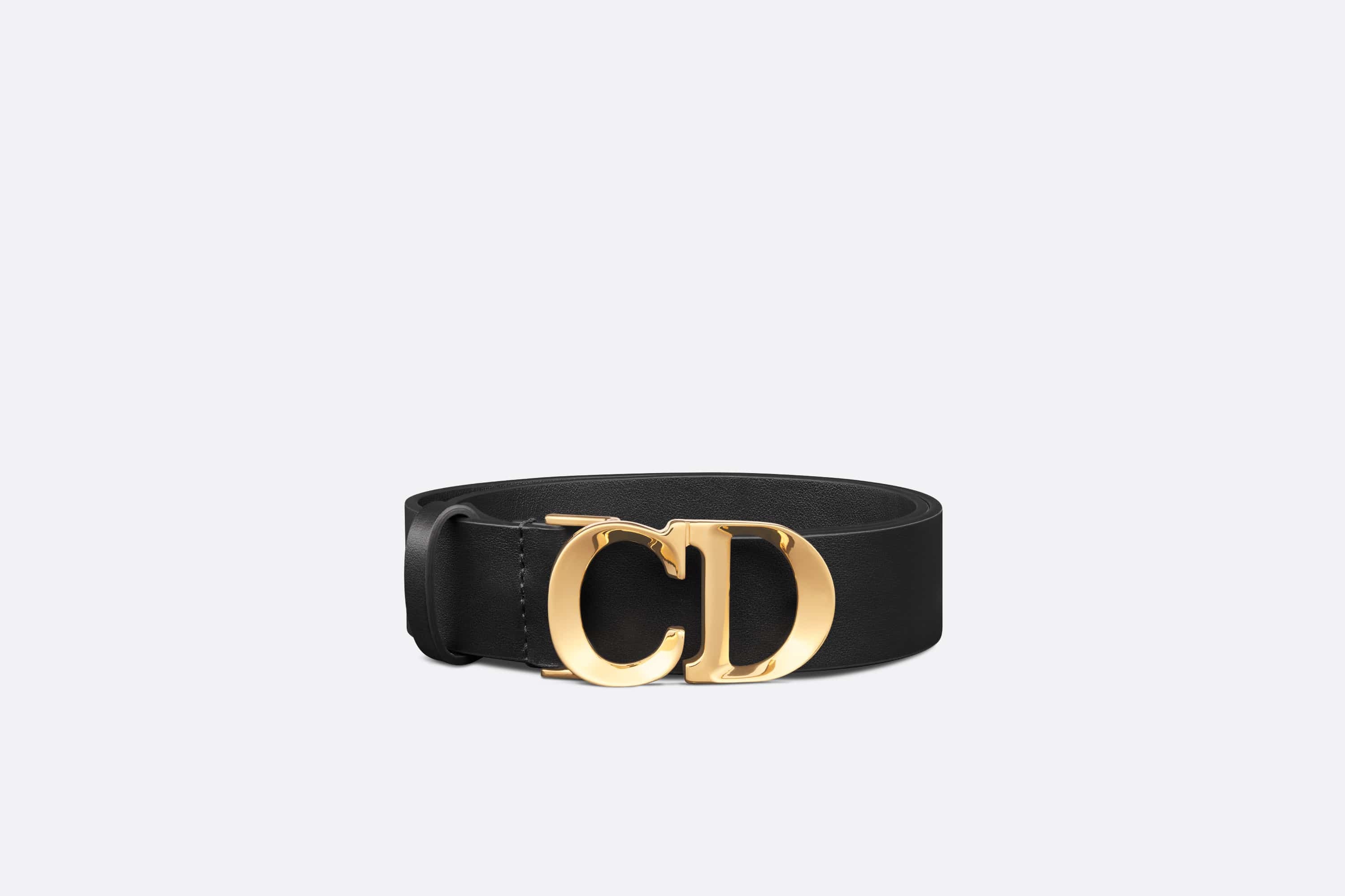 Dior C est Dior Belt REVERSIBLE