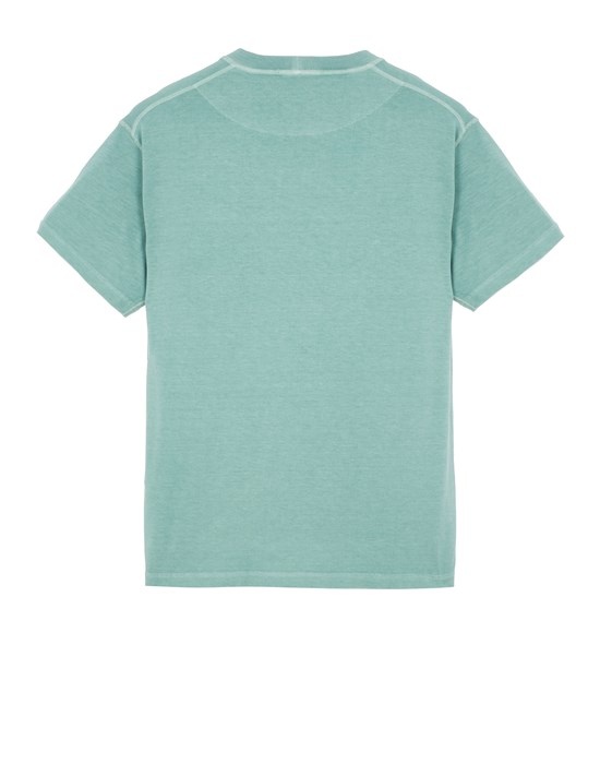 23742 'FISSATO' TREATMENT SAGE GREEN - 2