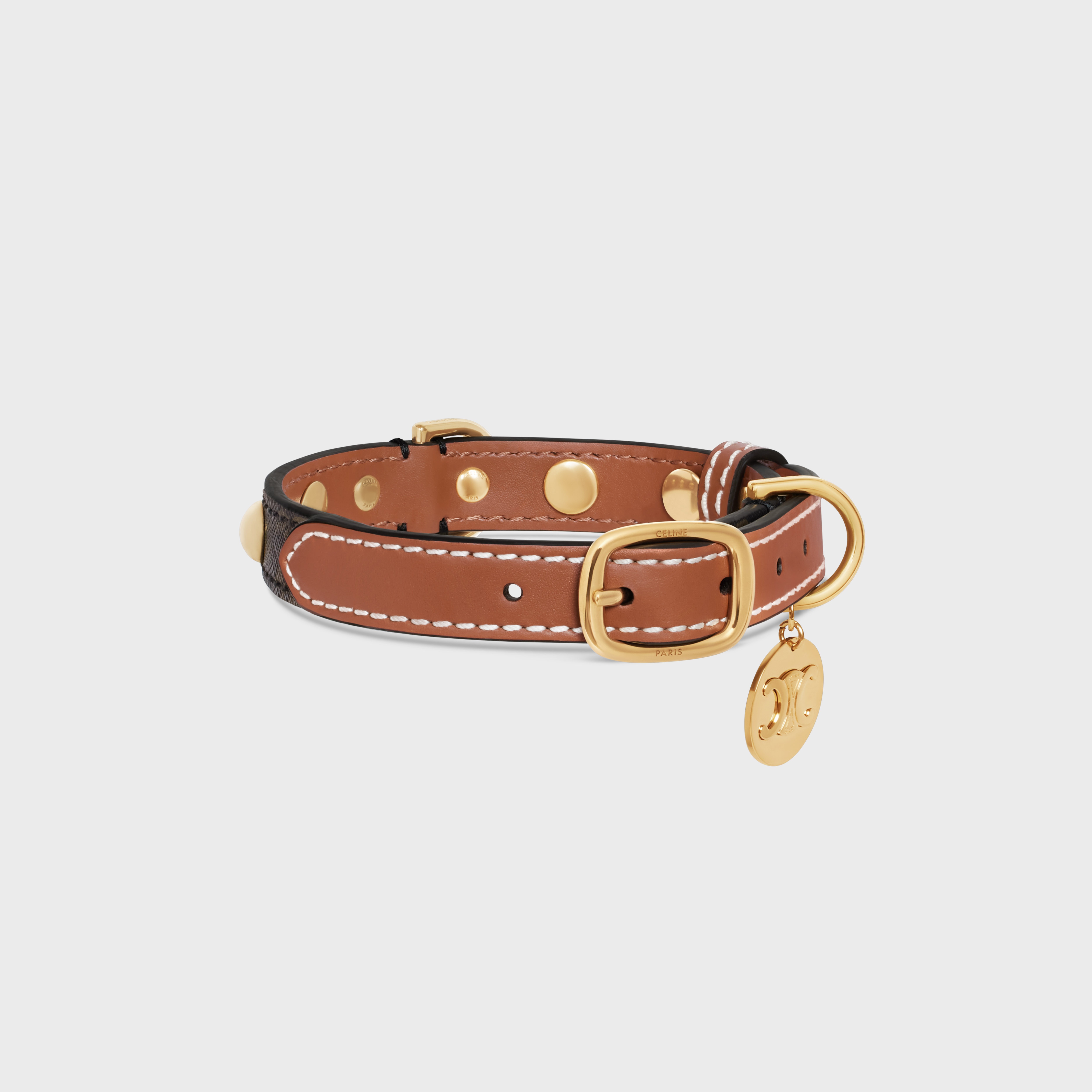 Small Thin Dog Collar in Triomphe Canvas & Calfskin with studs - 2