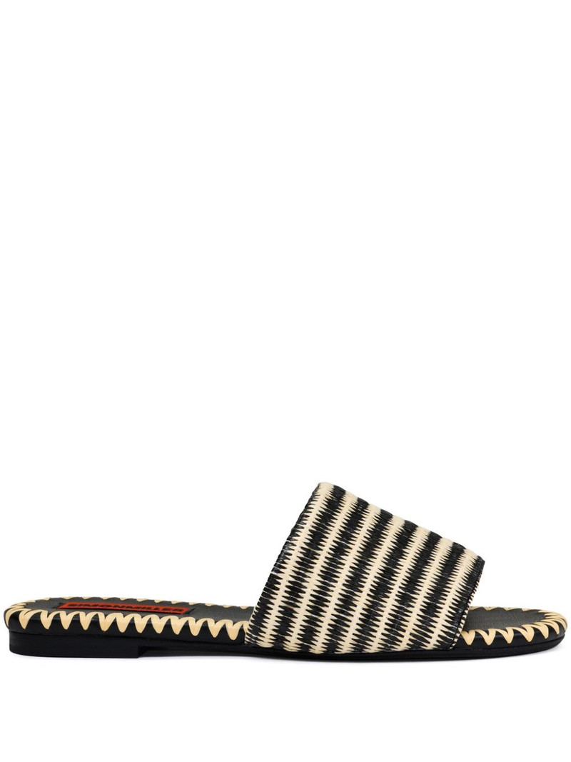 Raffia Salerno slides 1
