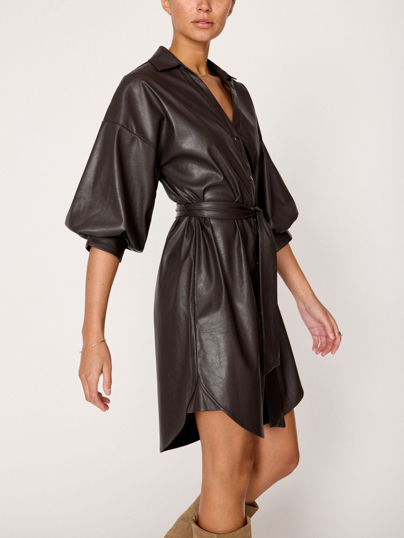 The Kate Belted Vegan Leather Dress 4