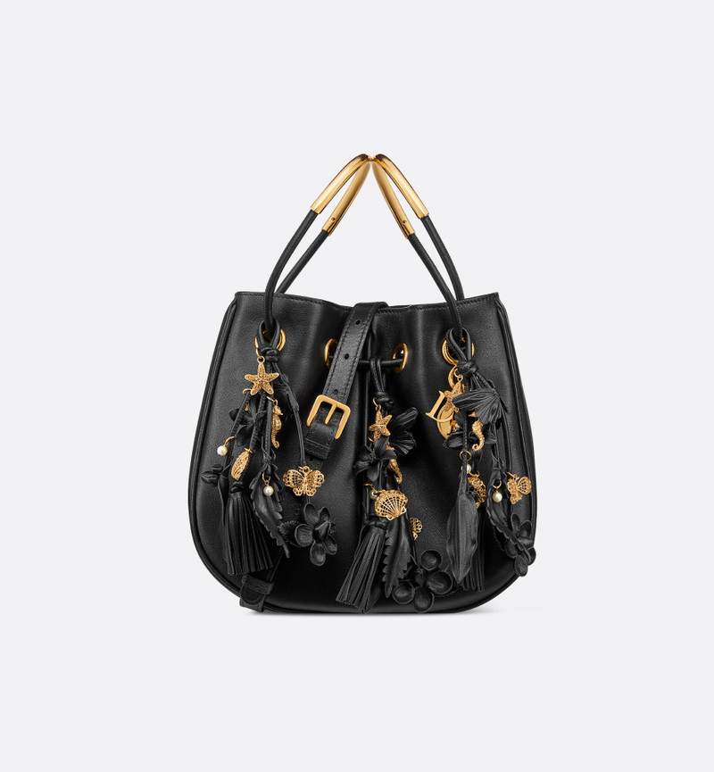 Small Dior Nolita Bag 1