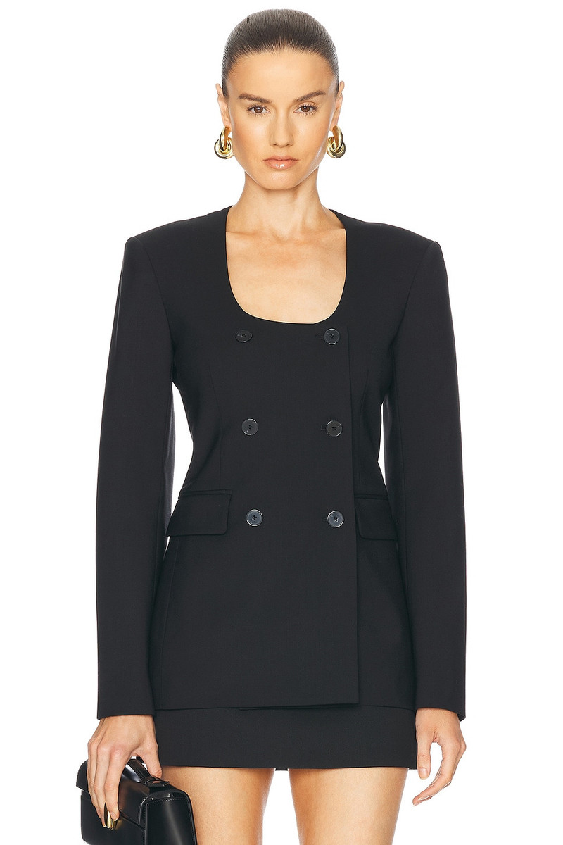 Anita Blazer 1