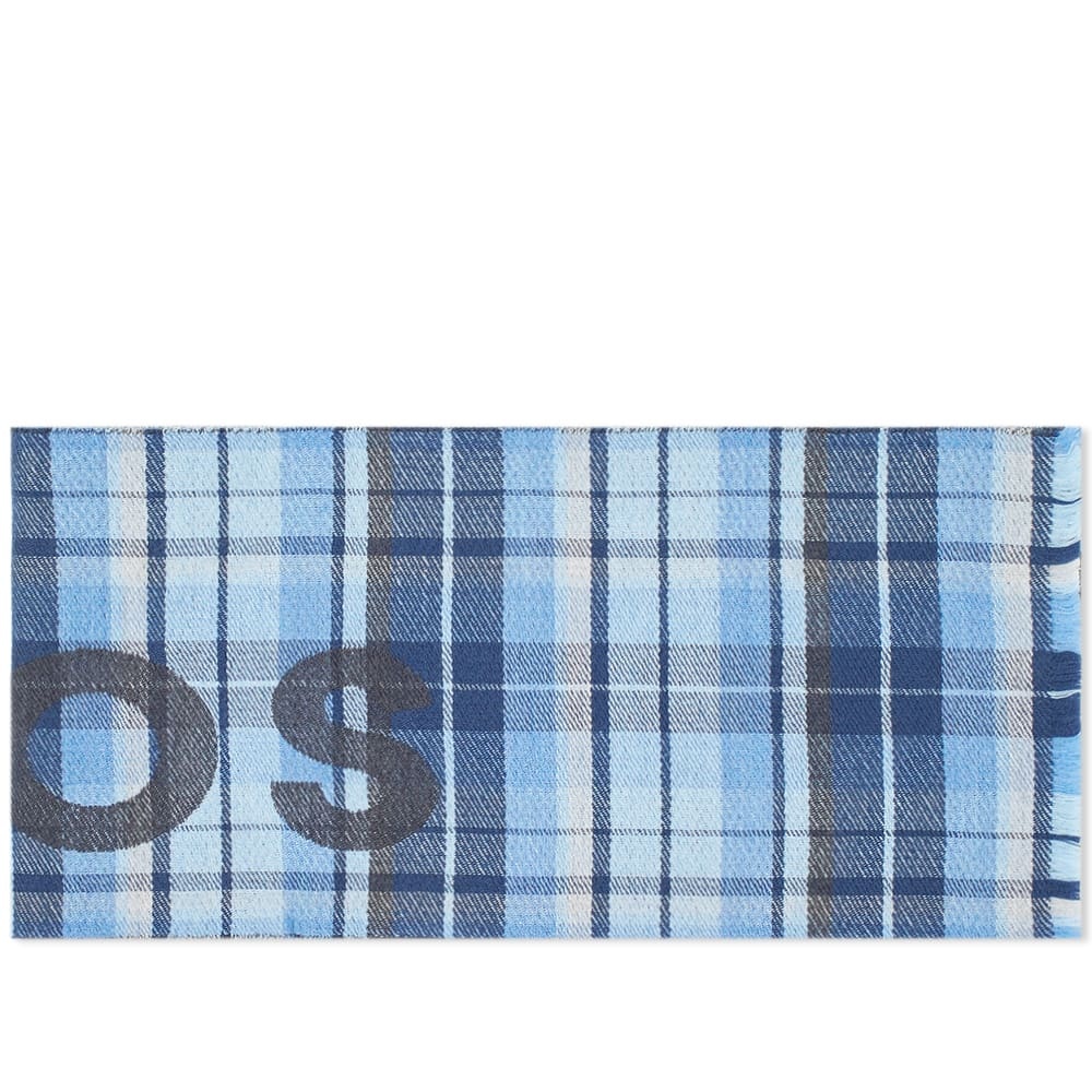 Acne Studios Victoria Check Logo Scarf - 2