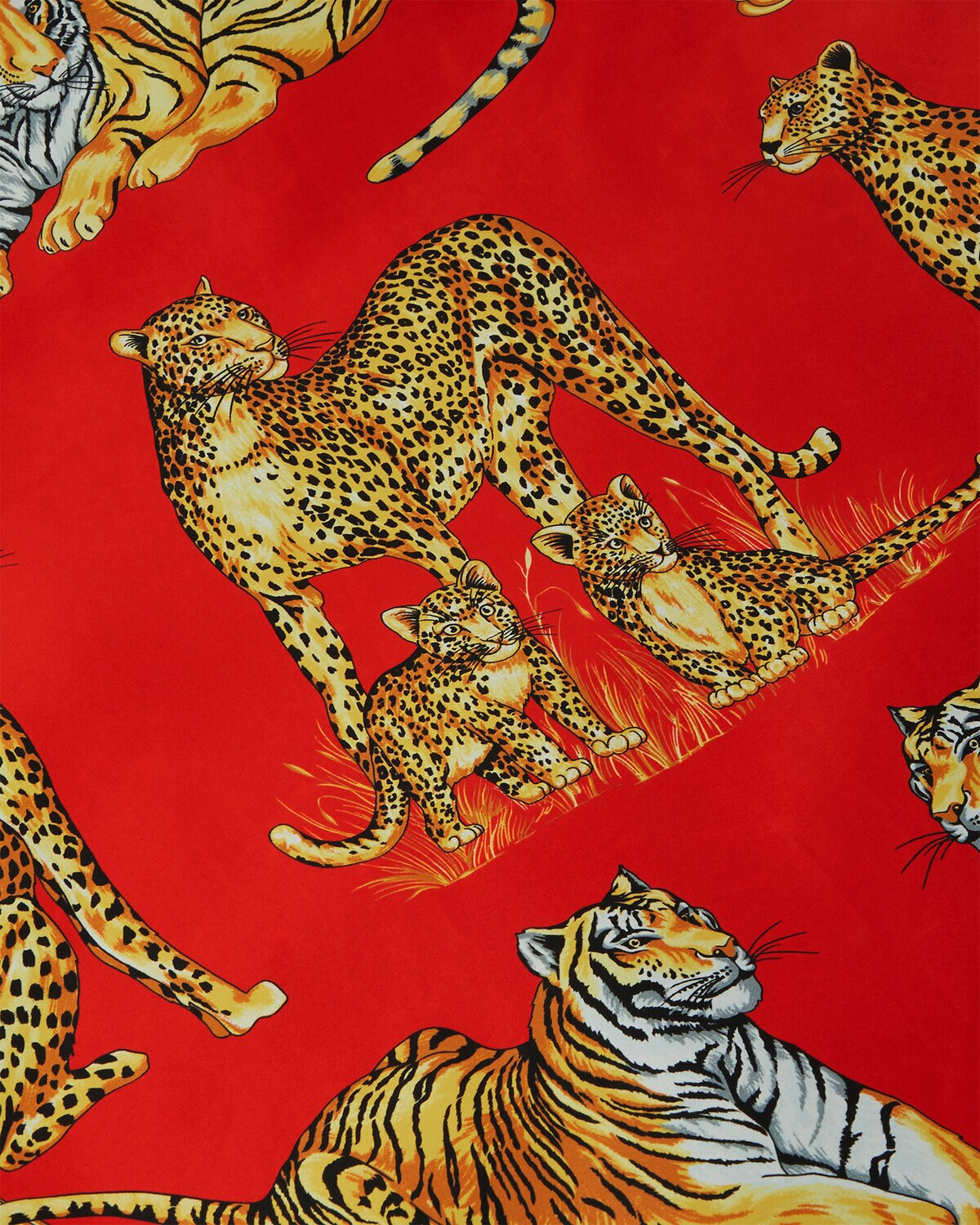 Wild Cats Windbreaker Jacket - 4