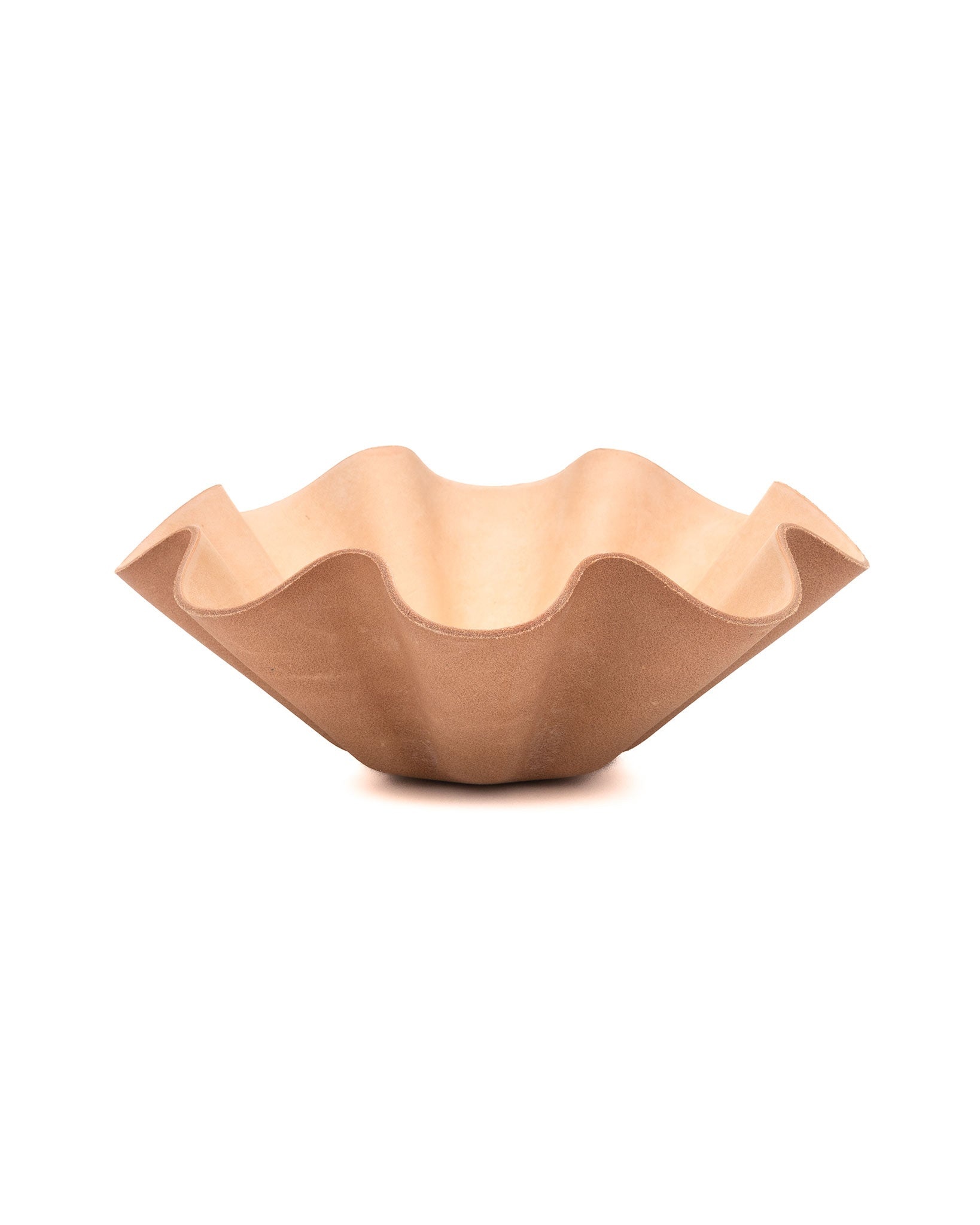 Shell Bowl Big Natural - 1