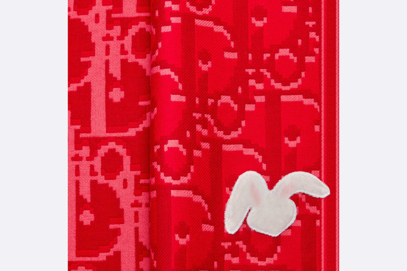 DIOR BY ERL Scarf 4