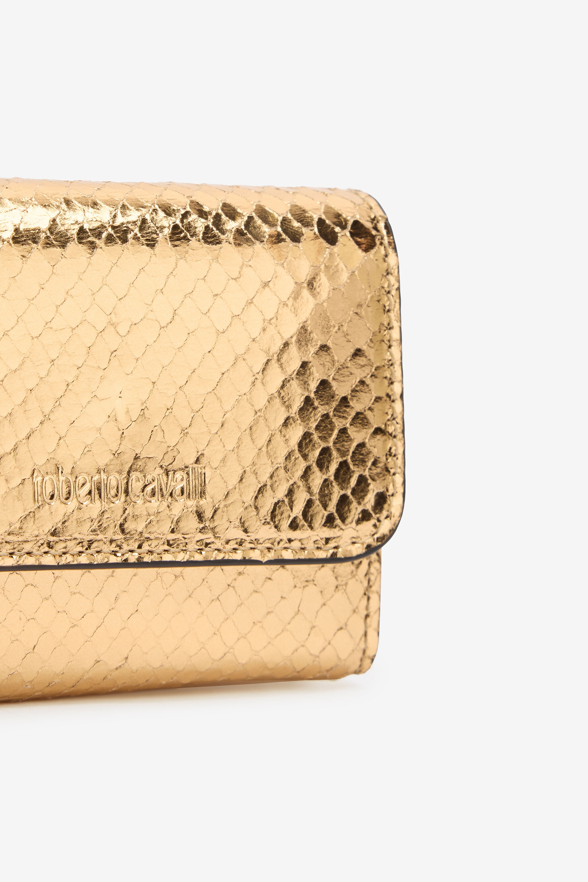 Laminated Card Holder With Snake Print - 4