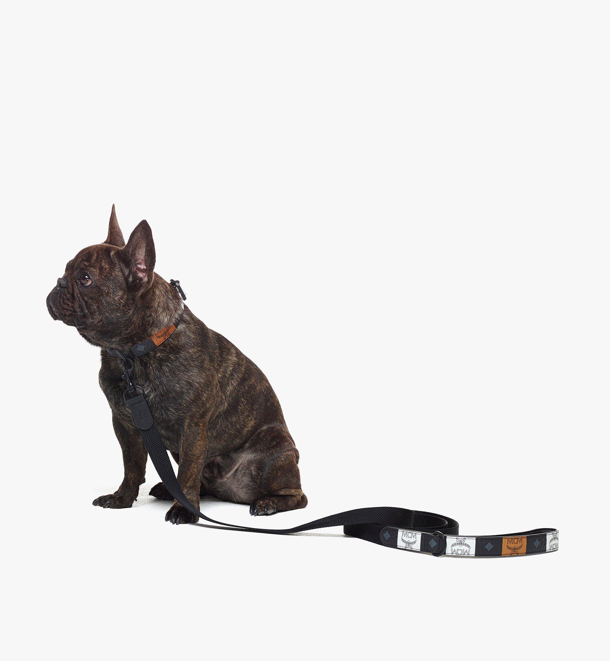 Pet Leash in Checkerboard Visetos - 4