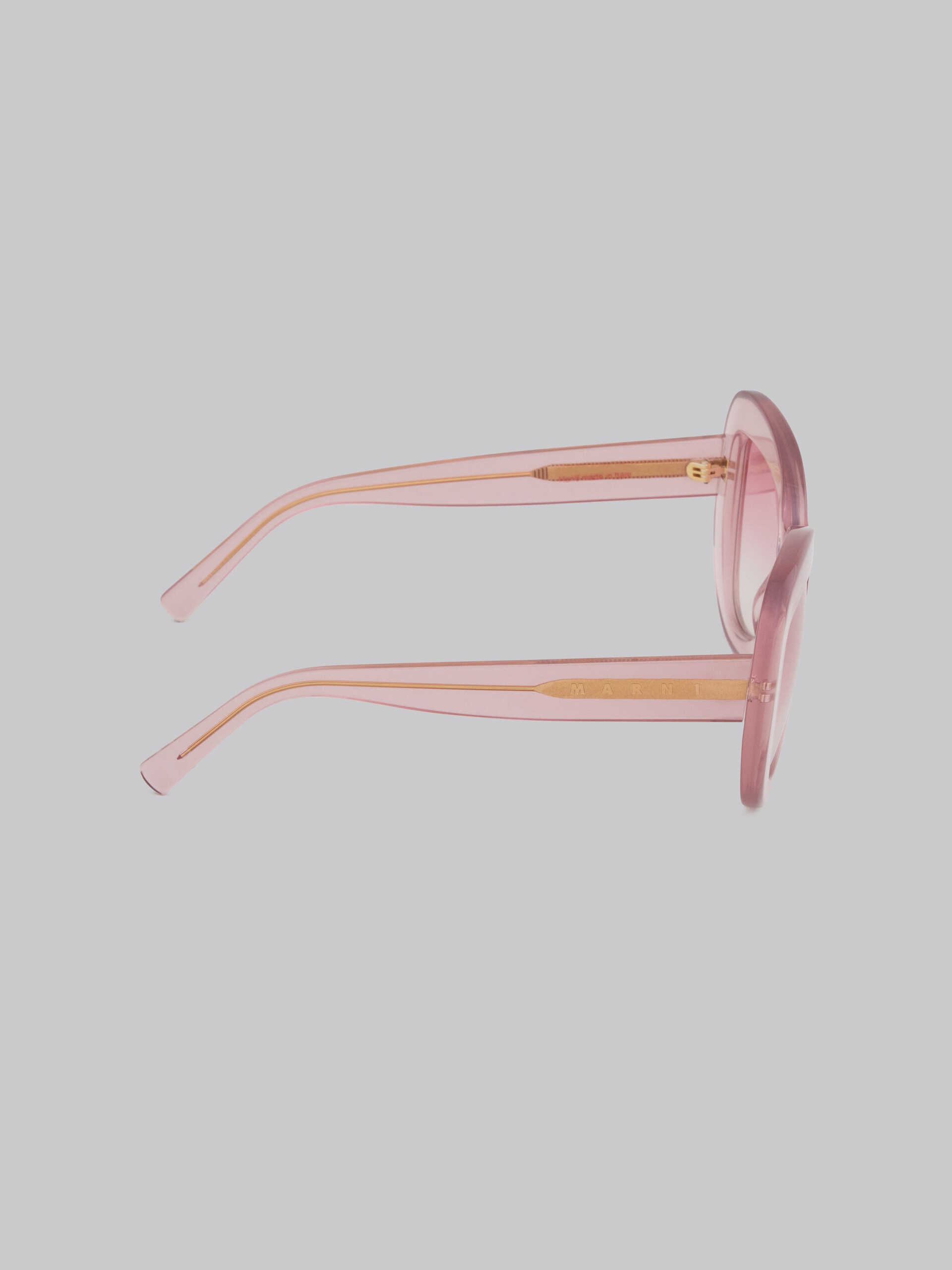 PINK ACETATE ELEPHANT ISLAND SUNGLASSES - 3
