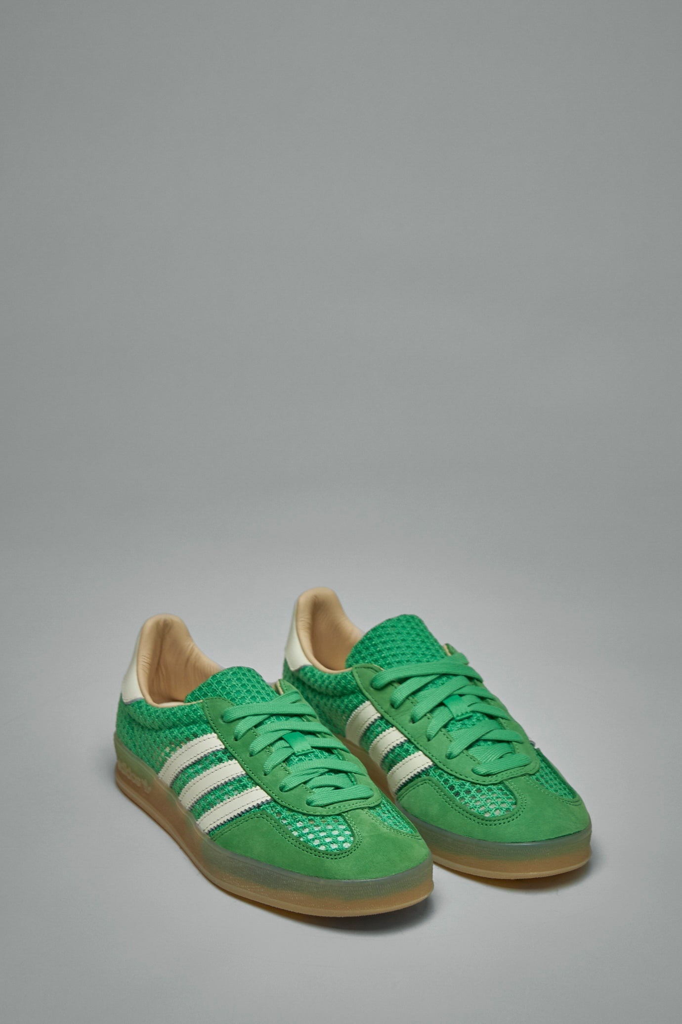 Gazelle Indoor - 2