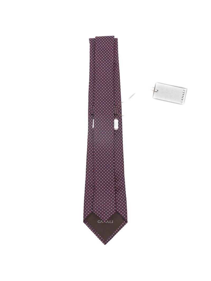 Canali dotted tie outlook