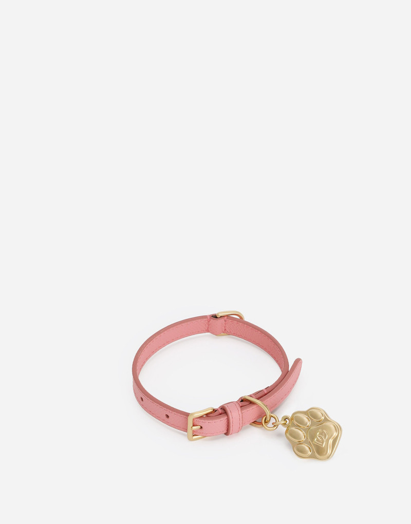 Dog collar 1