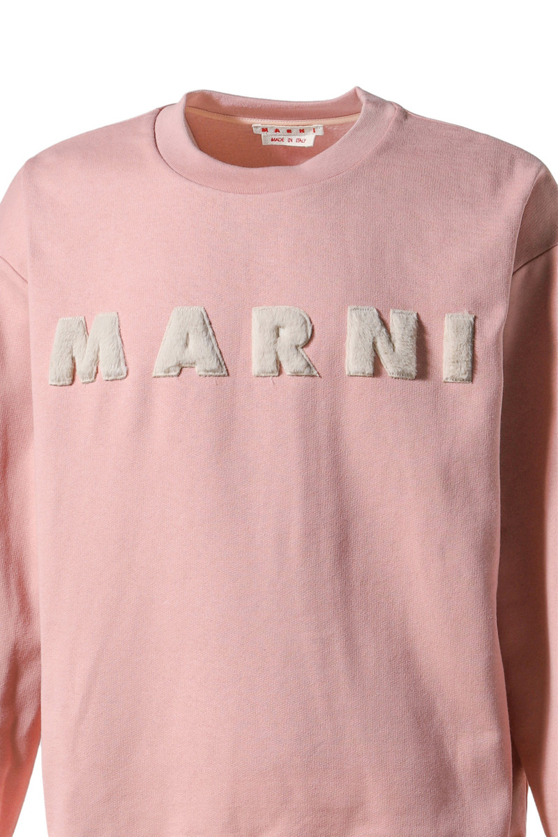 SWEATSHIRT / ANTIQUE ROSE 4