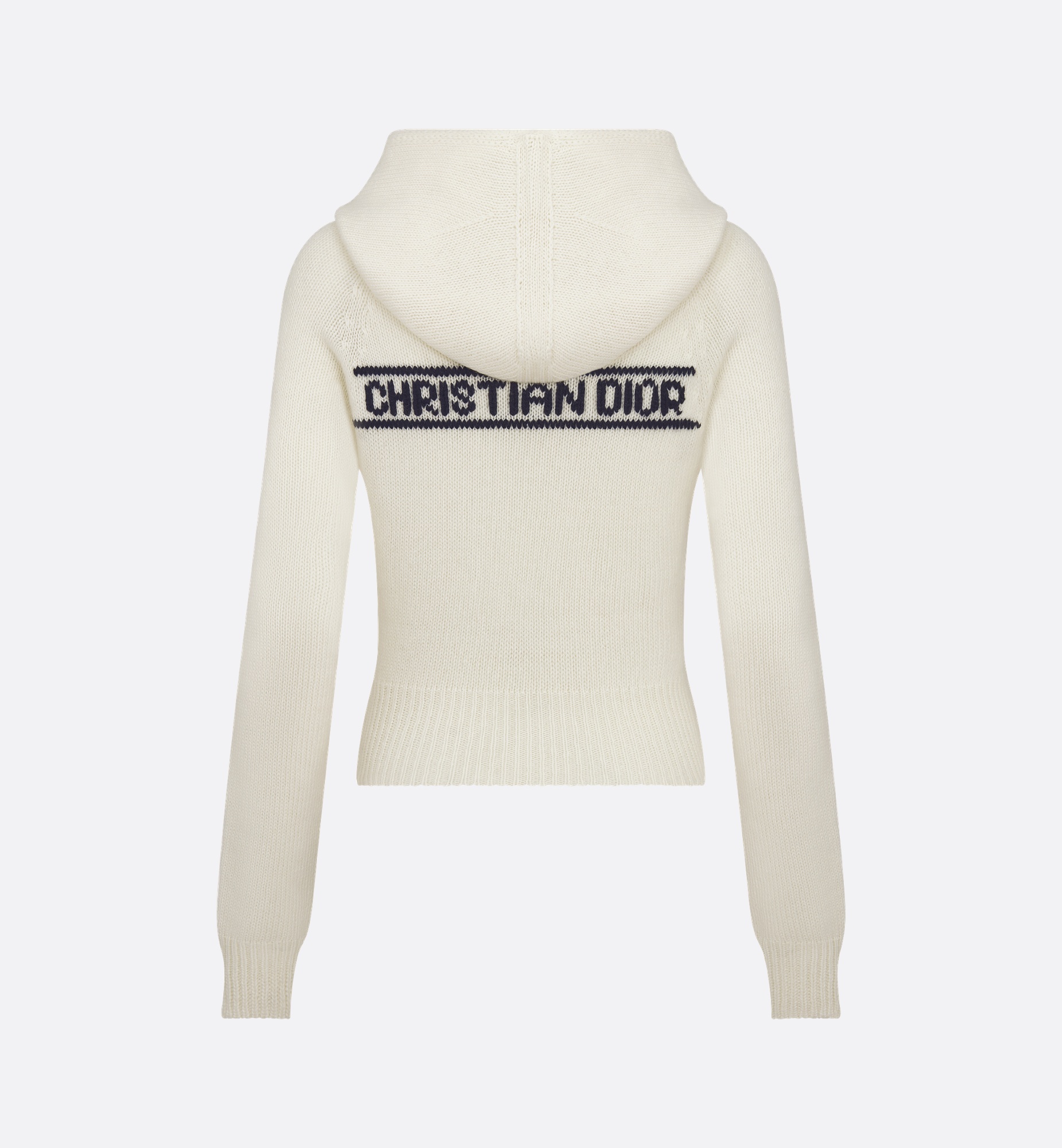 DiorAlps Hooded Sweater - 2