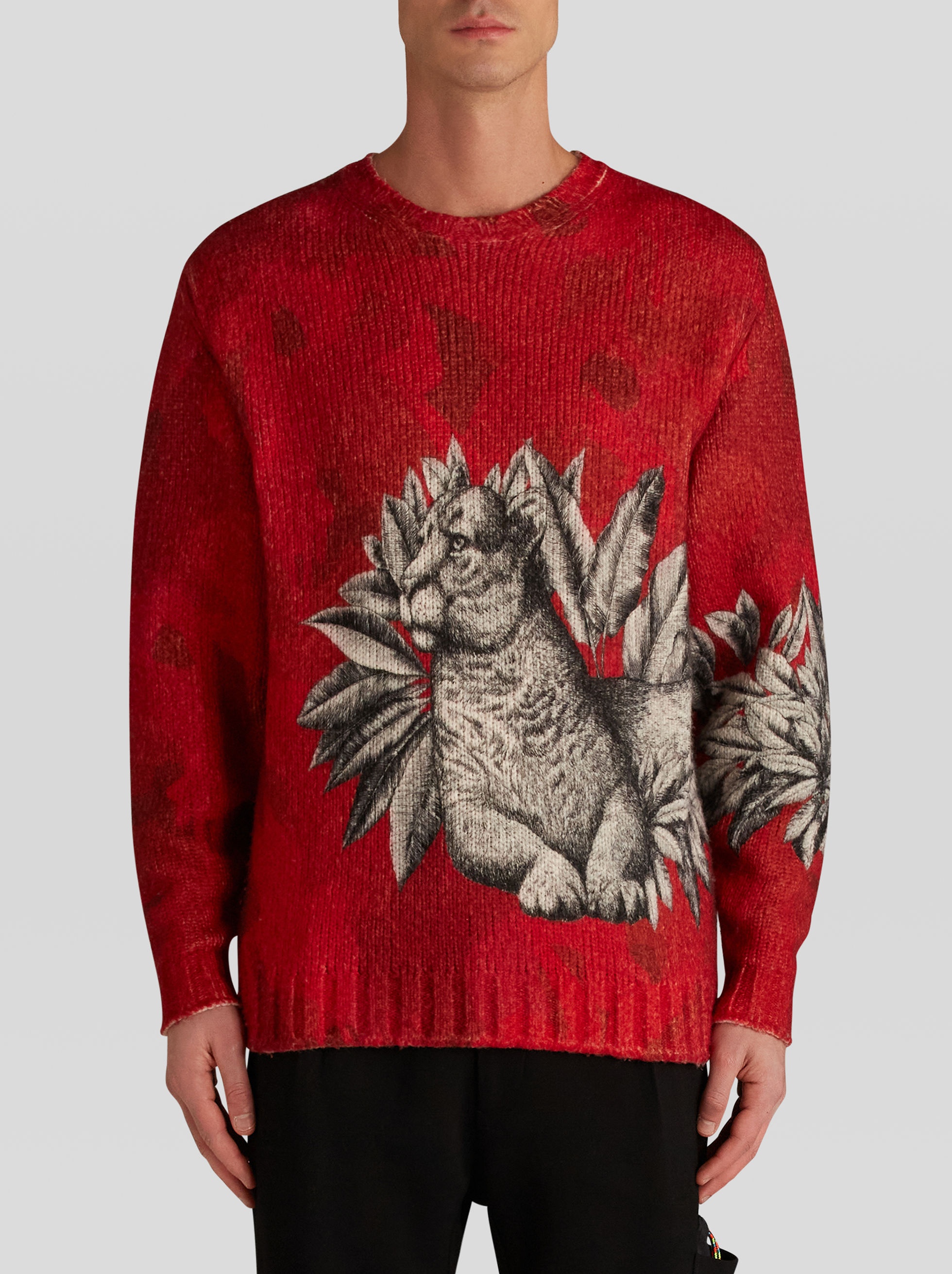 PRINTED PEGASO PEGAFLYING JUMPER - 2