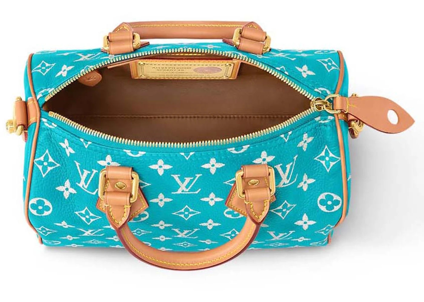 Louis Vuitton Speedy P9 Bandouliere 25 Turquoise - 3