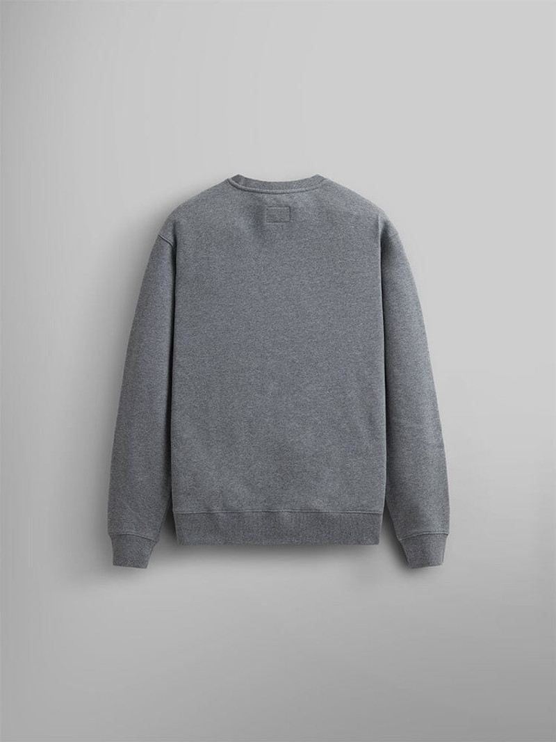 ALPHA INDUSTRIES ESSENTIAL CREWNECK outlook