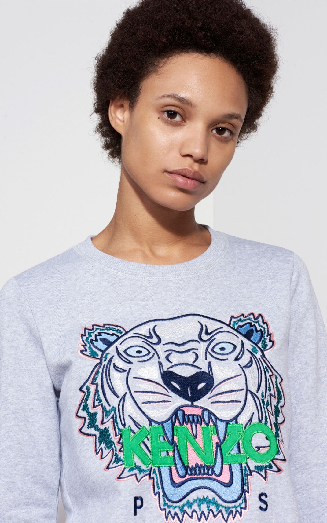 Tiger SweatshirtDress - 2