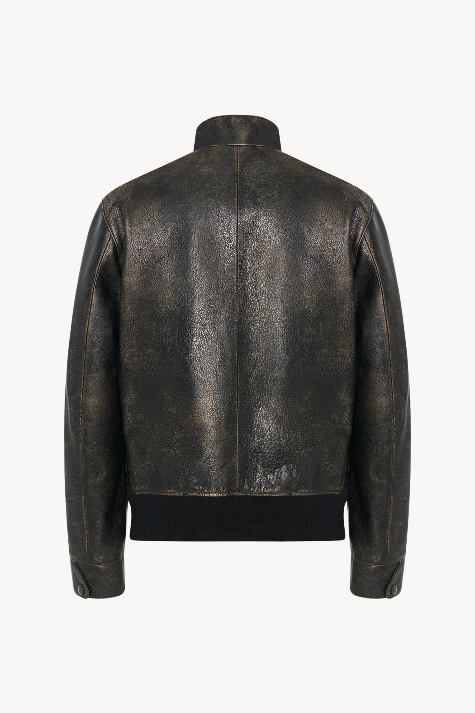 Edrice Jacket in Leather - 2