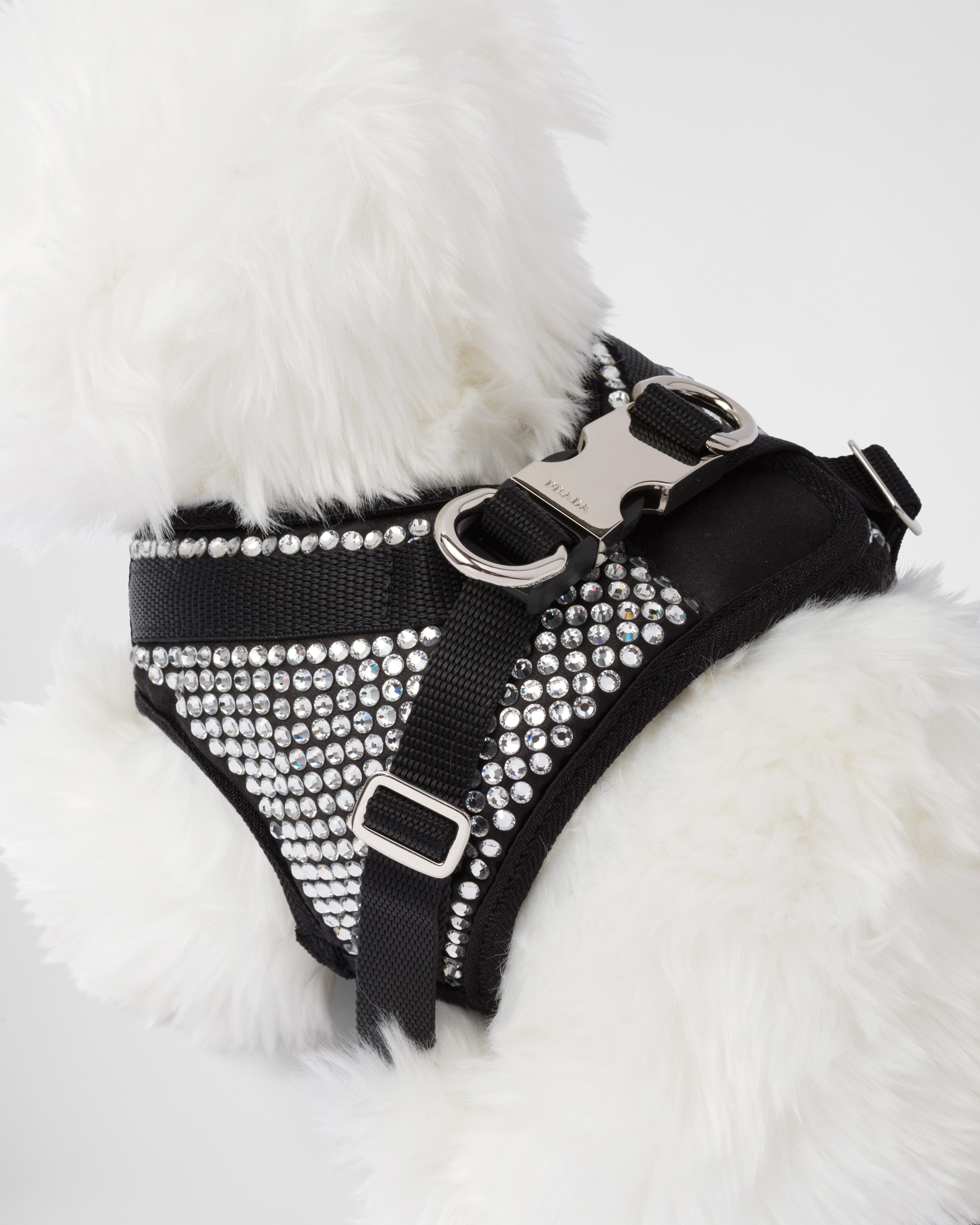 Logo Crystal Embellished Dog Collar in Black - Prada