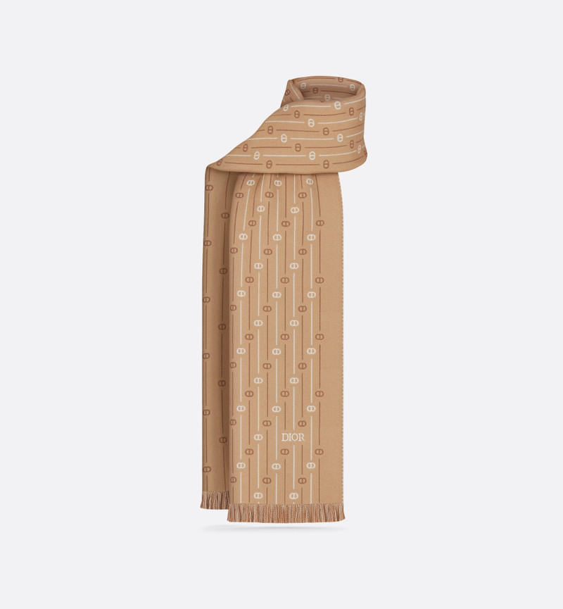 CD Icon Striped Scarf 1