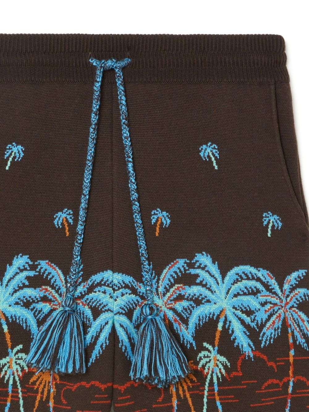The Tale Of Hawaiian shorts - 6