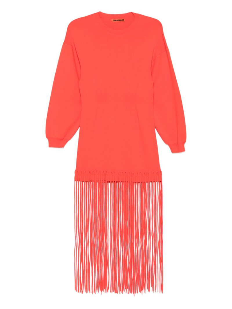 Wallis fringed dress 1