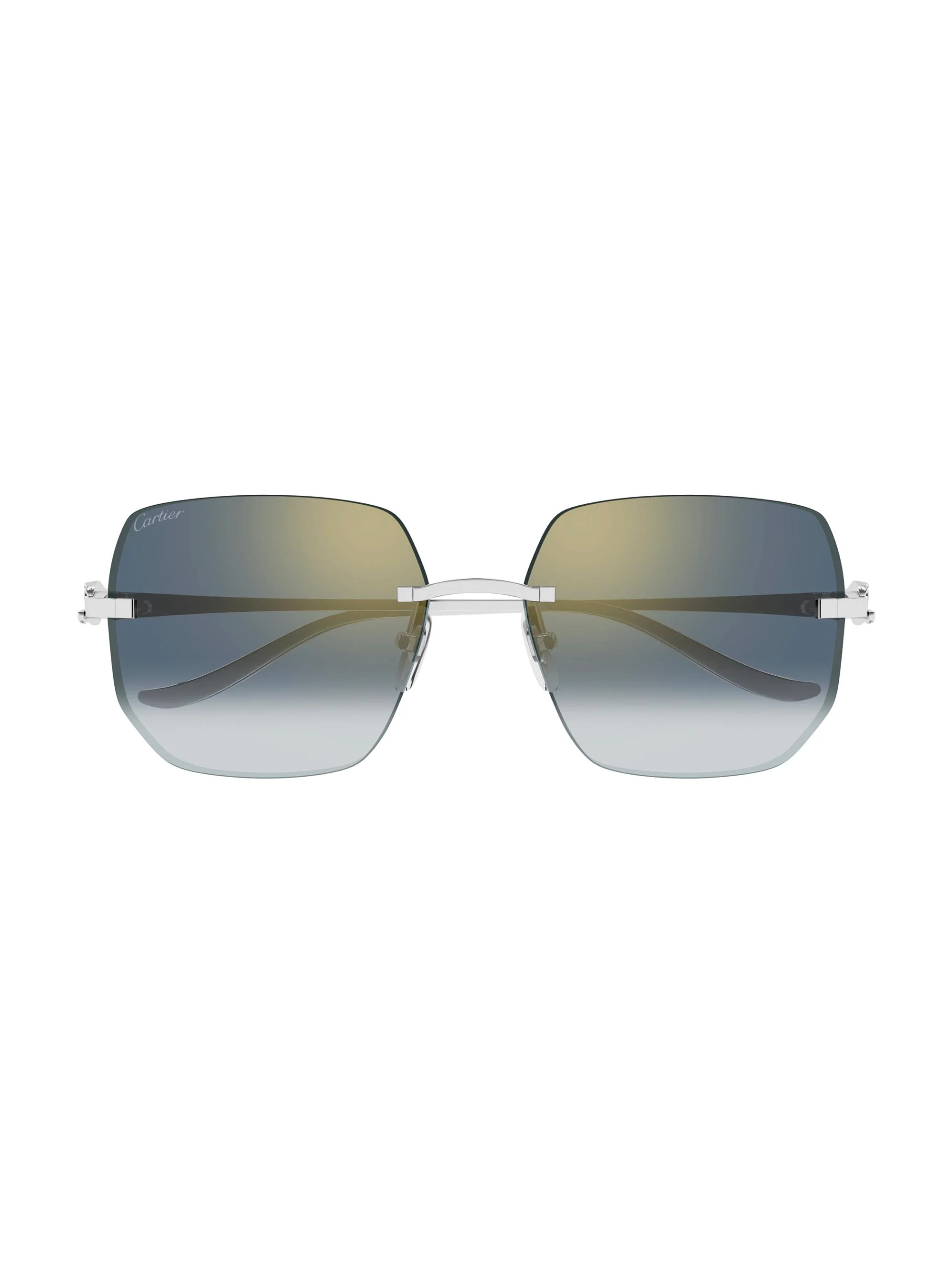 Women's Panthère Classic 57MM Square Sunglasses - Silver Light Green - 1