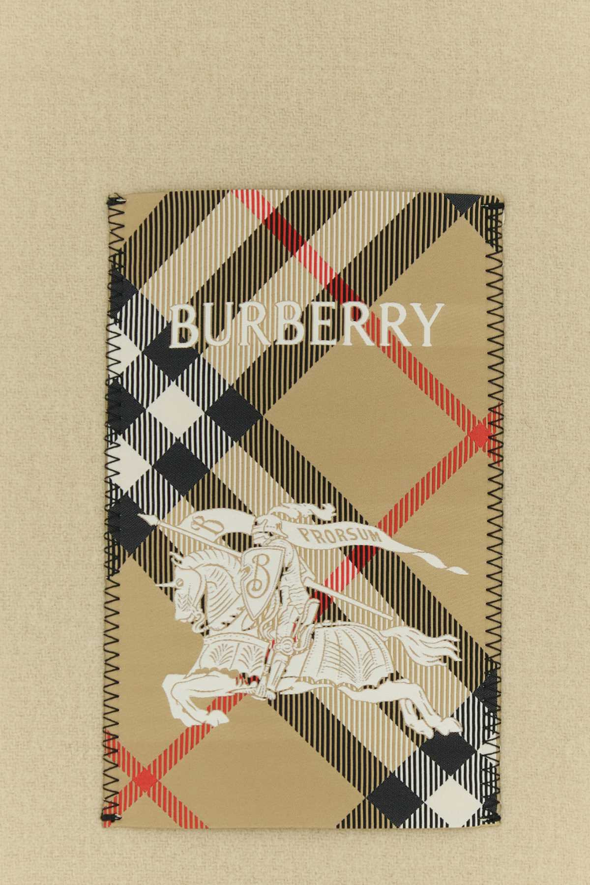 Burberry Women Sand Cashmere Scarf - 3