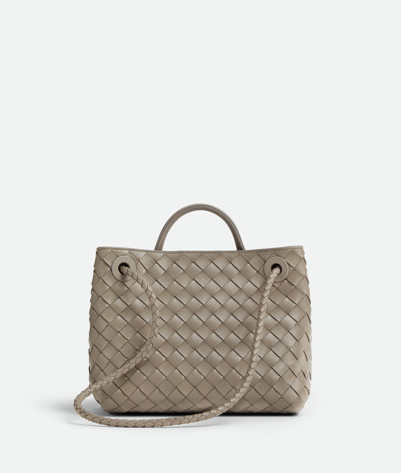 Bottega Veneta Small Andiamo outlook