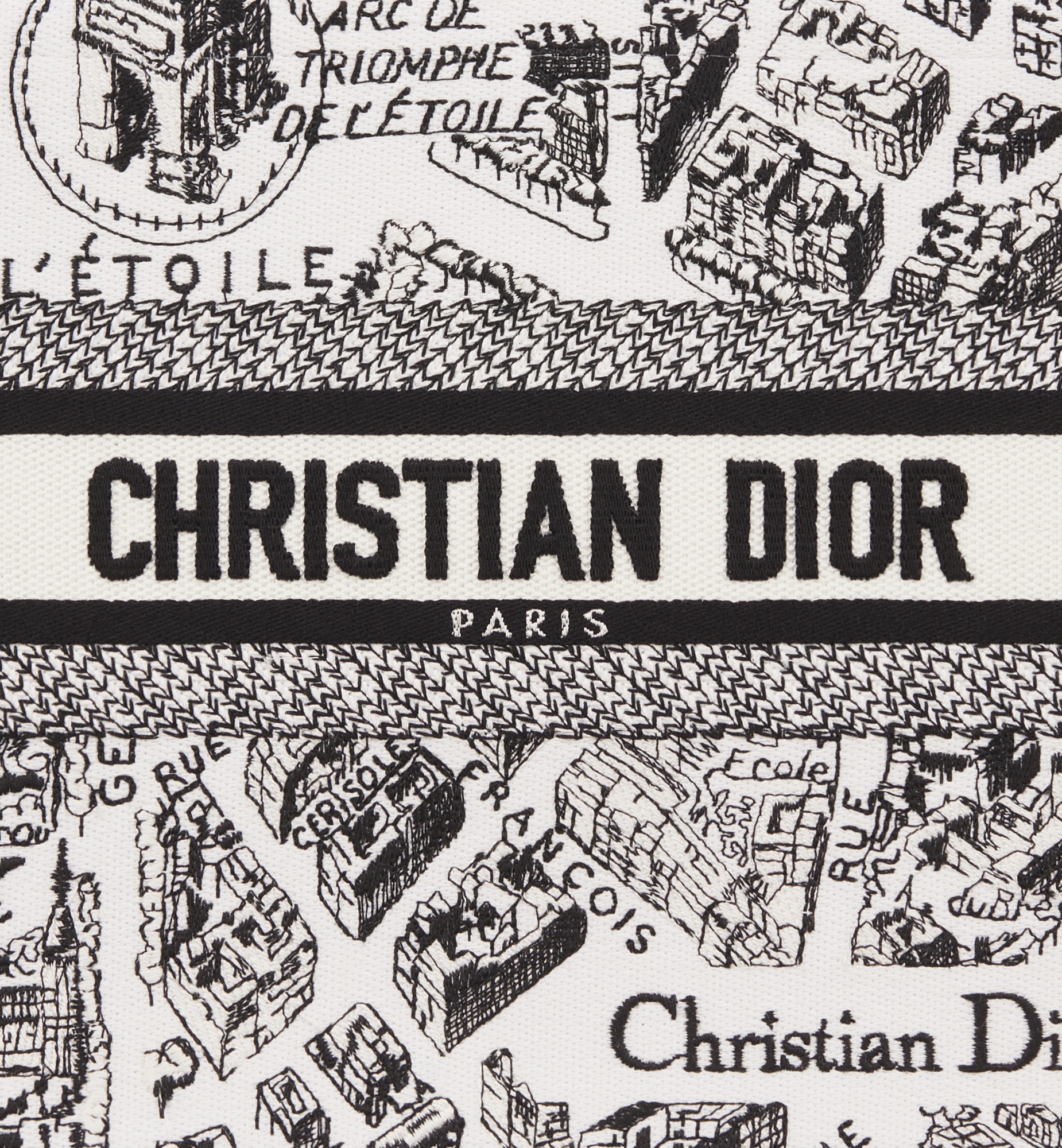 Small Dior Book Tote - 7