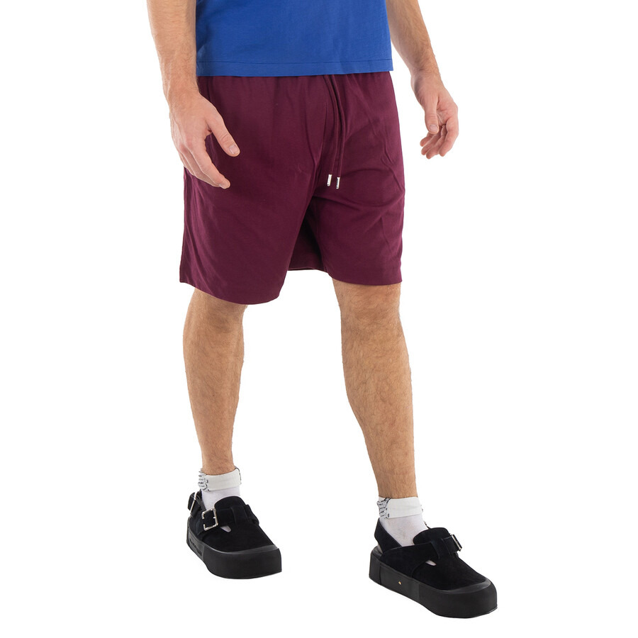 Dries Van Noten Men's Wine Drawstring Shorts - 3