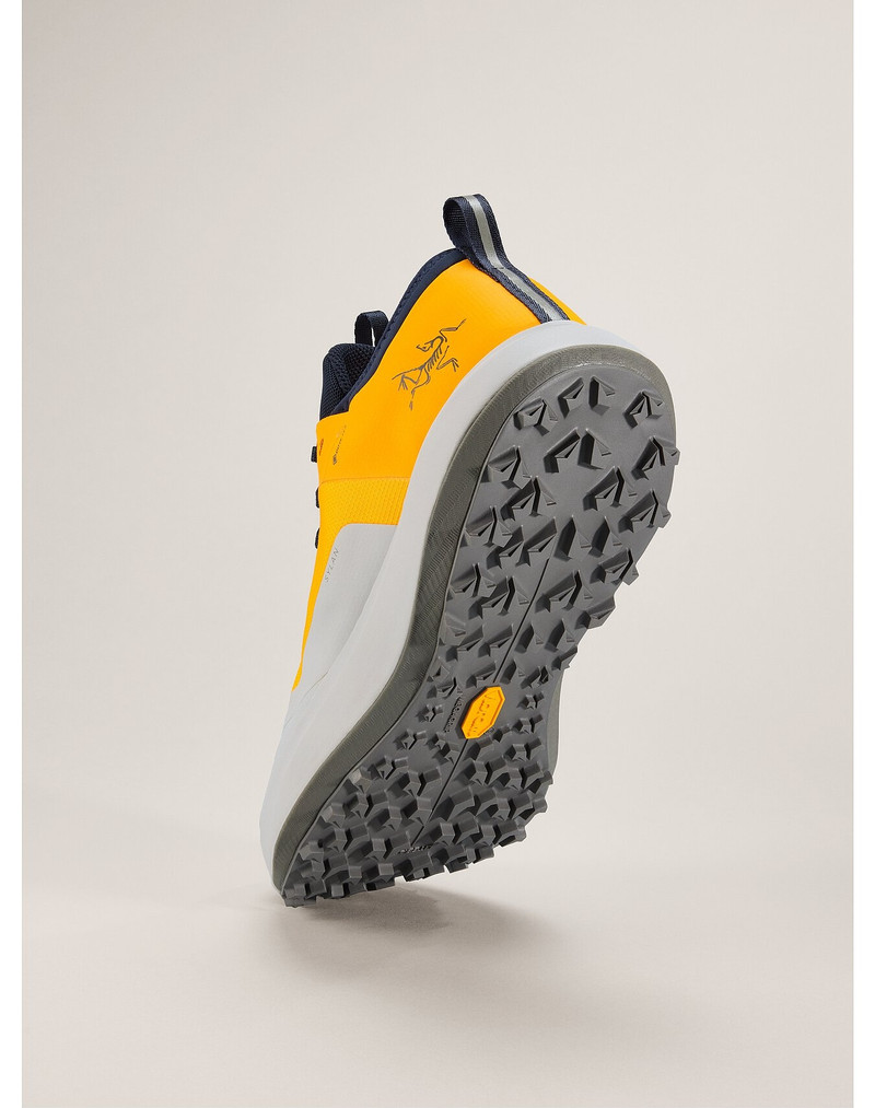 Sylan GTX Shoe 4