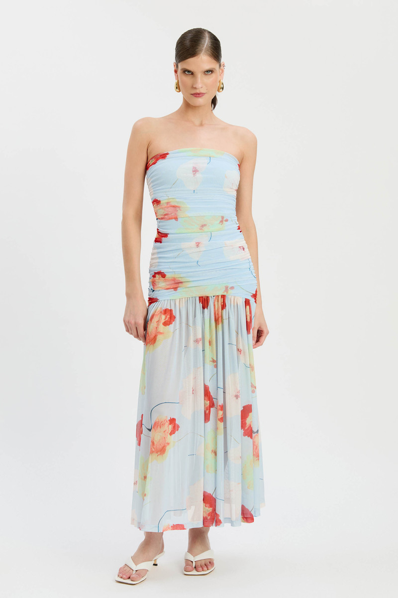 BARDOT Solana Printed Mesh Maxi Dress In Baby Blue Floral outlook