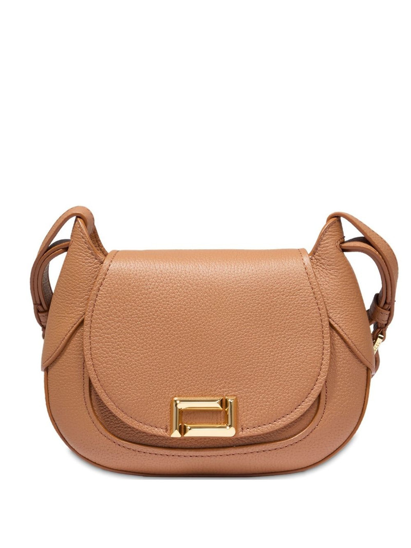 Paulette Saddle crossbody bag 1